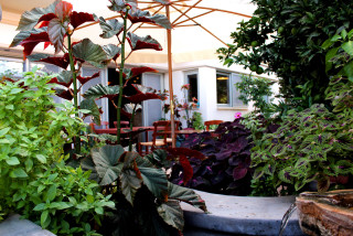 facilities philoxenia hotel fountain in garden